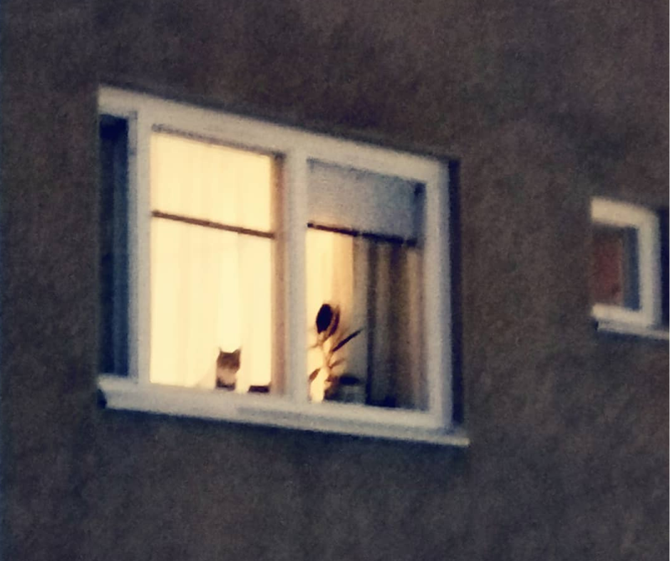 KATU EI OLE KOTI - ASUNNOTTOMUUDEN KASVUUN ON PUUTUTTAVA HETI